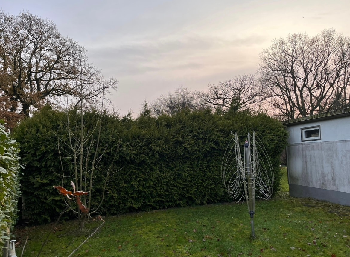 Von Wildwuchs zur perfekten Form